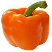 Orange Bell Peppers 1 LBS