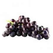 BLACK GRAPE 1 LBS