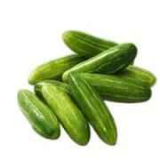 Tindora 1 LBS