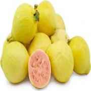 Yellow Guava 1 LBS