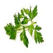 Plain Parsley 2 COUNT