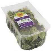WILD HARVEST ORGANIC SPRINGMIX 5 OZ