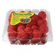 DRISCOLL RASPBERRIES 6 OZ