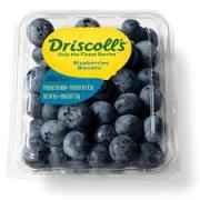 DRISCOLLS BLUEBERRIES BLEUETS 6 OZ