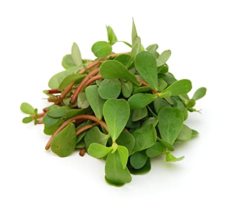 Kulfa Leaves 1 LBS