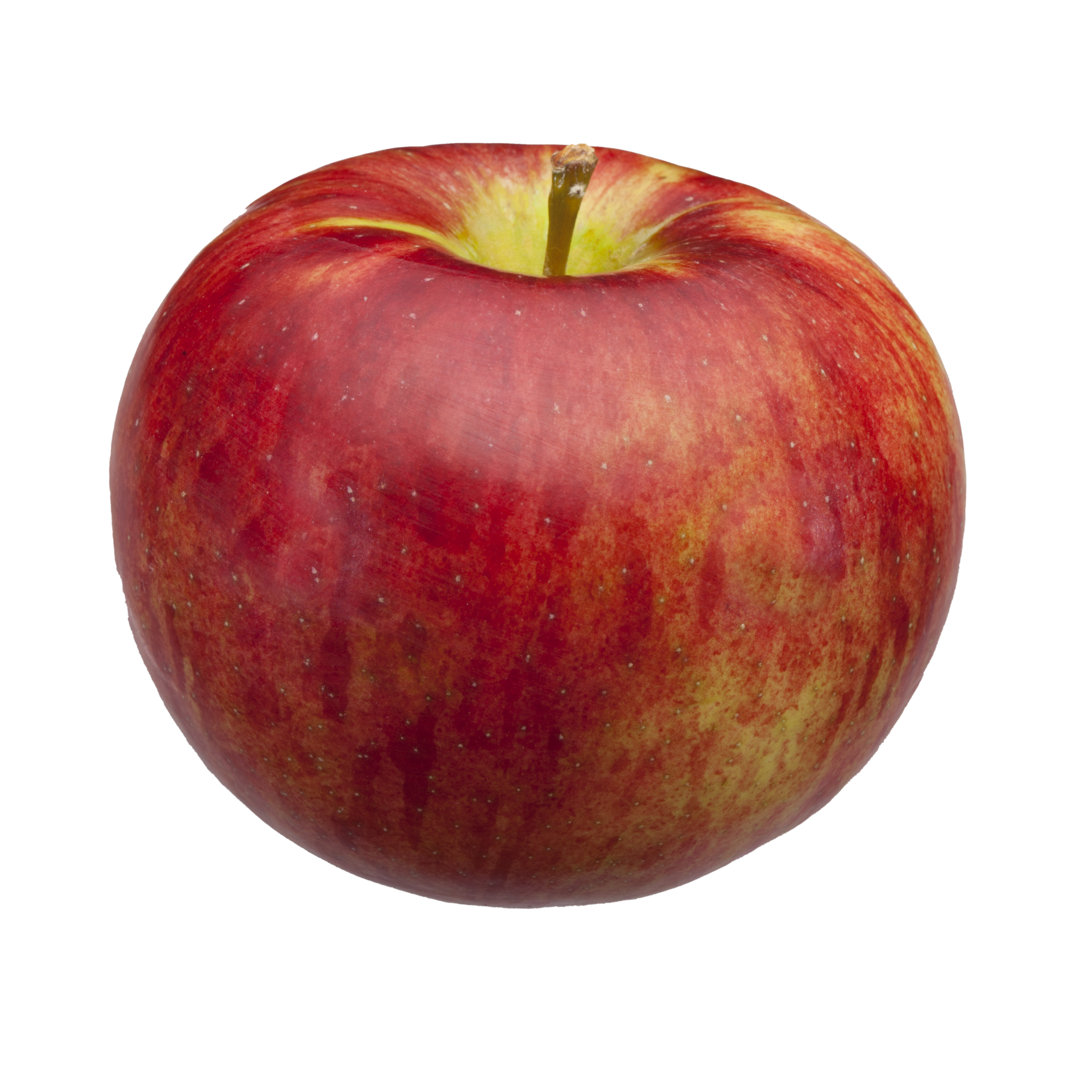 APPLE MCINTOSH MICHIGAN (apples) 1 LBS