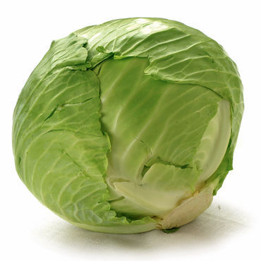 GREEN CABBAGE 1 LBS