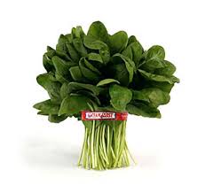 BUNCH SPINACH 1 Lbs
