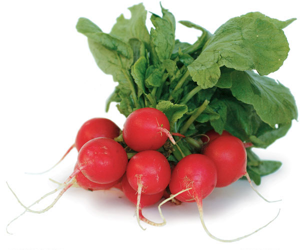 Red Radish Bunch 1 LBS
