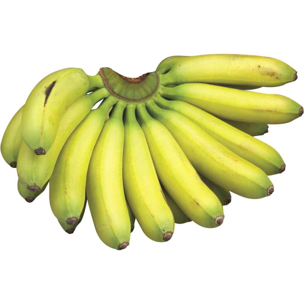 MANZANO BANANAS 1 LBS