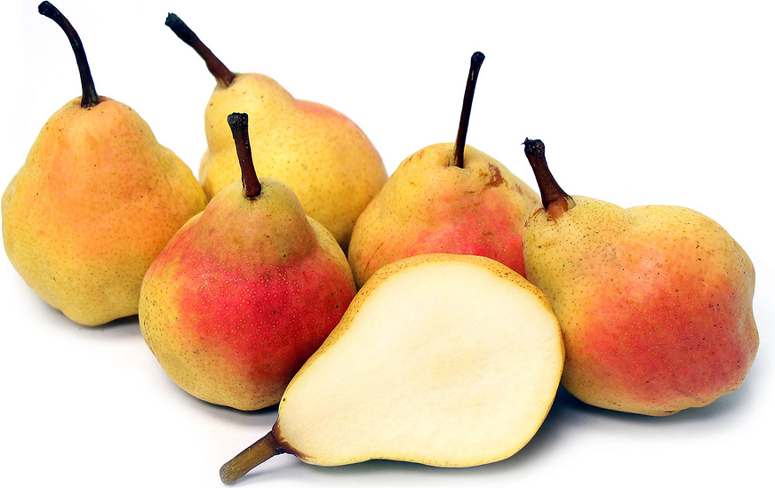 BARTLETT PEARS 1 LBS