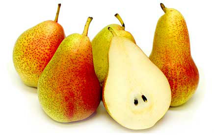 FORELLE PEARS 1 LBS
