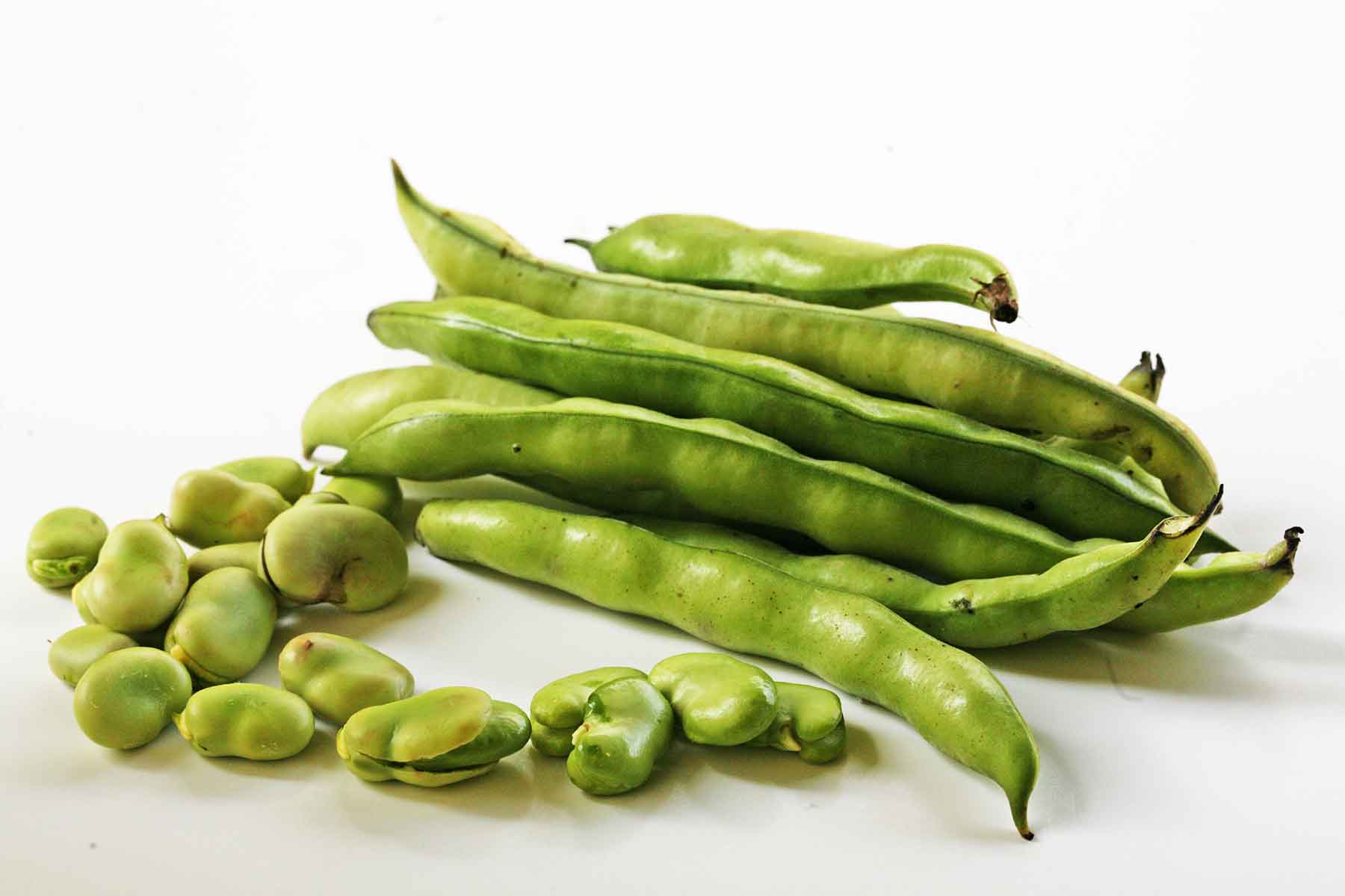 BEANS   FAVA BEANS 1 LBS