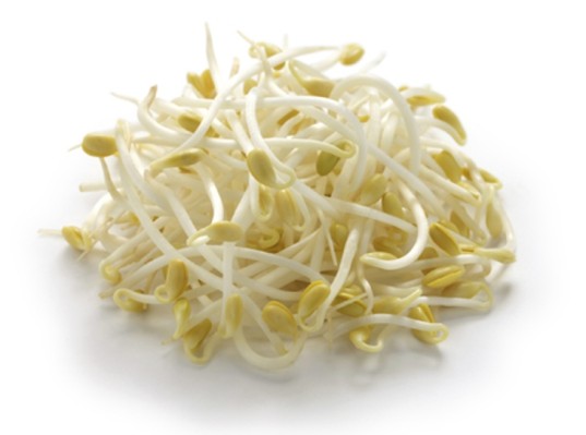 BEAN SPROUTS 1 LBS