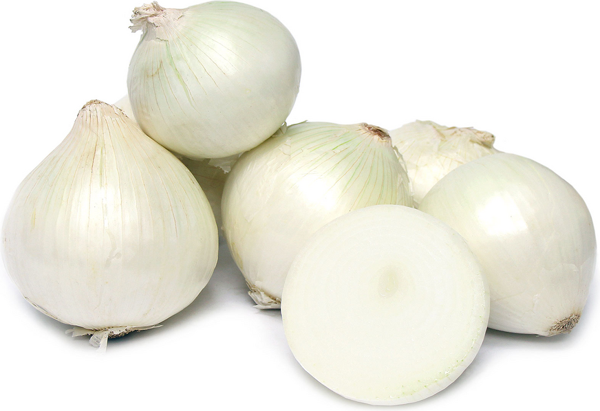 ONIONS   WHITE ONIONS 1 Lbs