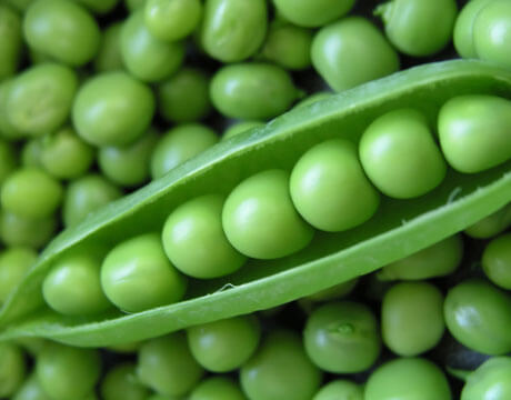 FRESH SWEET PEAS 1 LBS