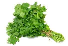 Fresh Cilantro 1 BUNCH