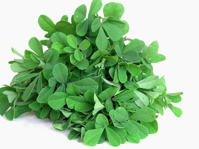 METHI LEAVES 1 LBS