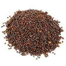 LAZZAT BROWN MUSTARD SEED 0.88 Lbs
