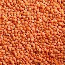 LAZZAT WHOLE LENTIL 2 LBS