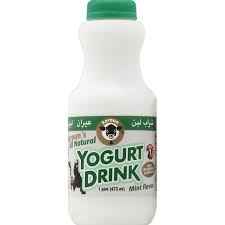 KAROUNS YOGURT DRINK W/MINT 1.04 Lbs