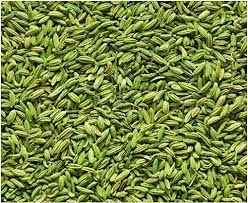 GAZAB GREEN FENNEL STRONG MINT 0.44 Lbs