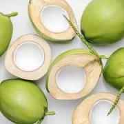 Young Coconut