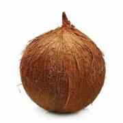 Coconut