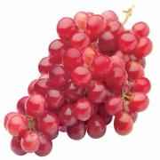 GRAPE GLOBE RED