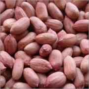 PEANUTS   RAW PEANUTS