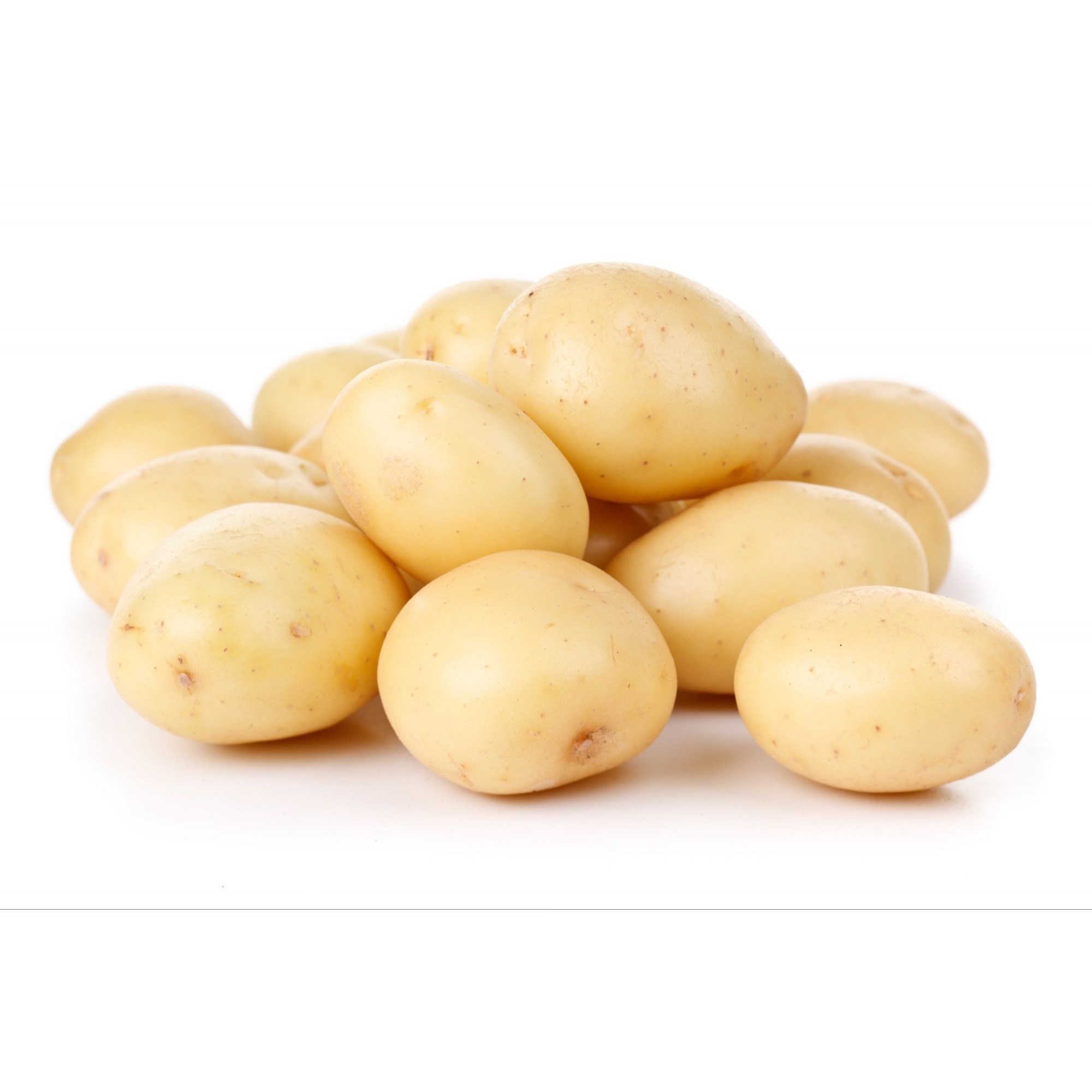 POTATO WHITE 1 LBS