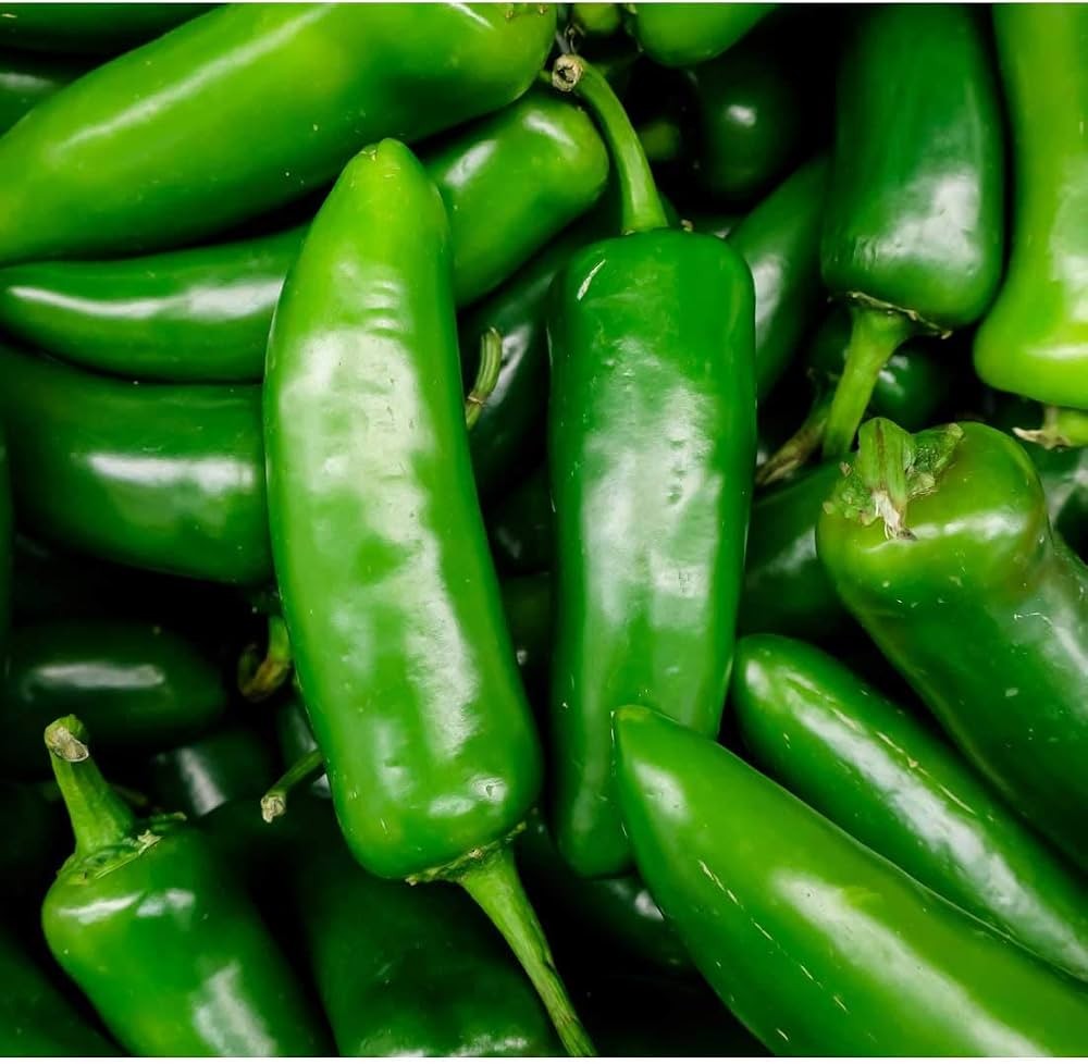 Chilie (Jalapenio) 1 LBS