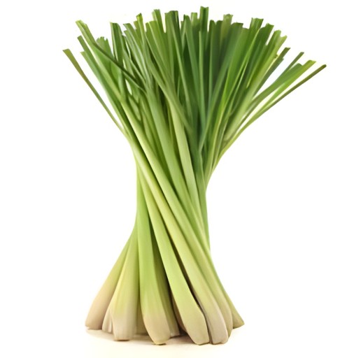 LEMON GRASS 1 LBS