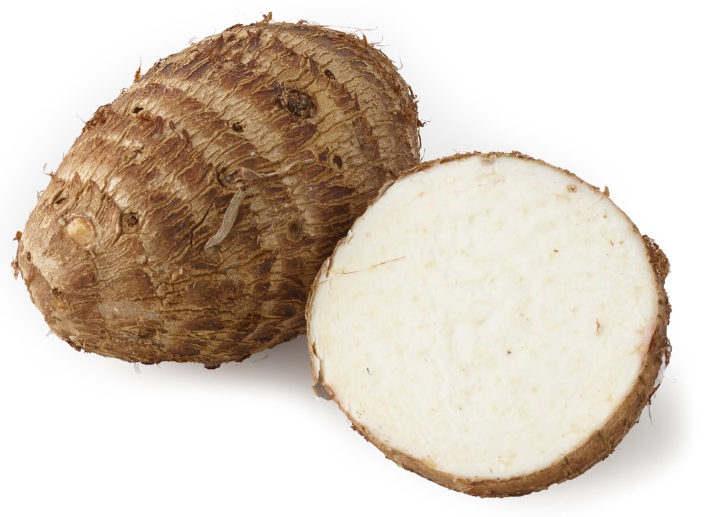 Tao Root 1 LBS