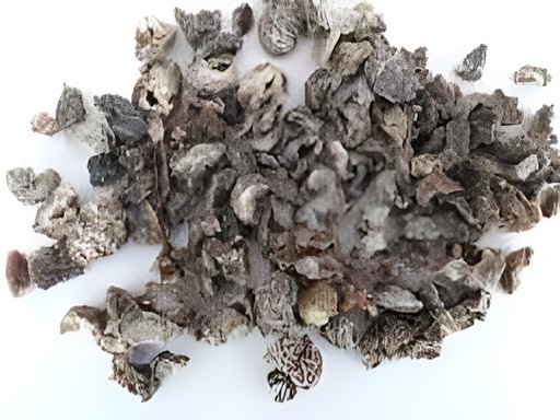 Krishiv Dry Amla 160 GM