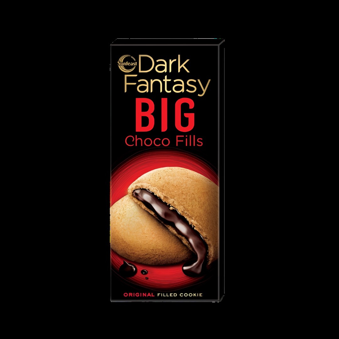 Sunfeast Dark Fantasy Big Choco 150 GM