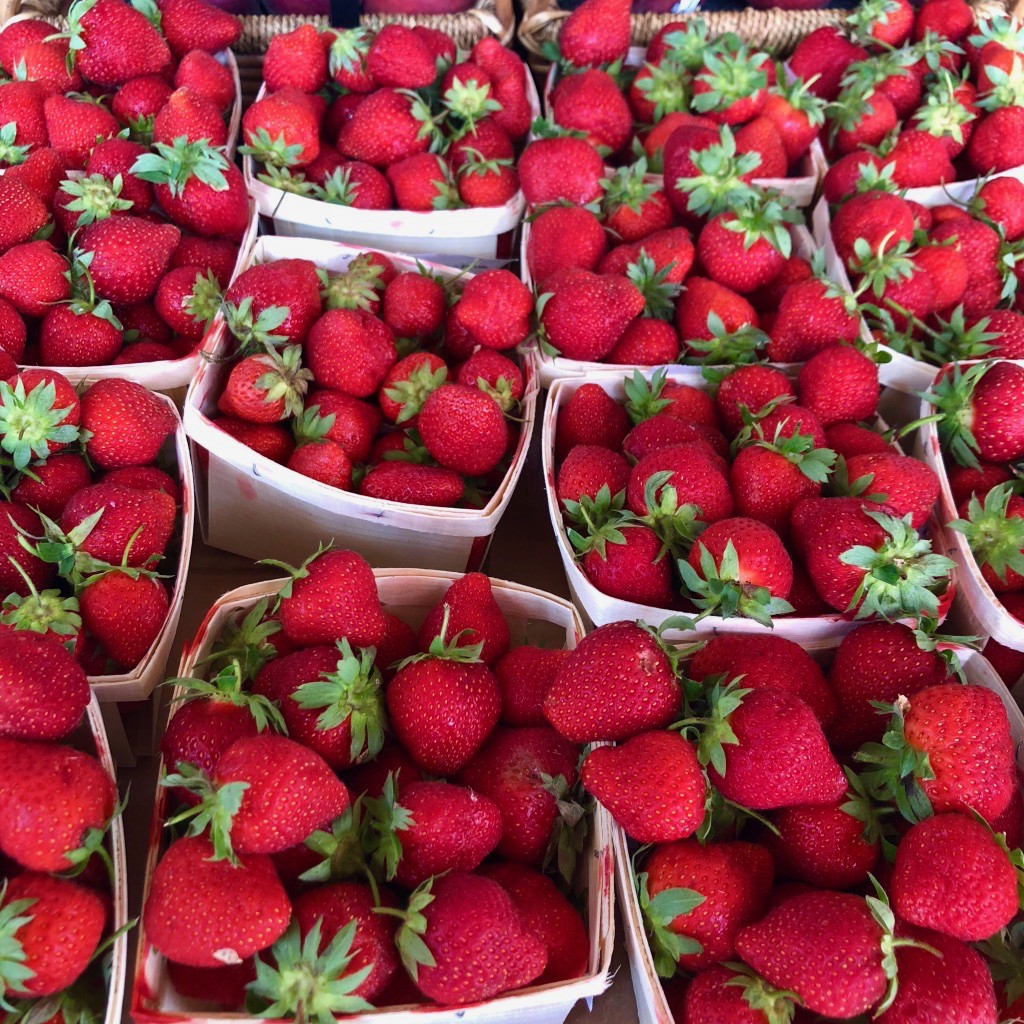 Gazab Basil Strawberry 0.64 Lbs