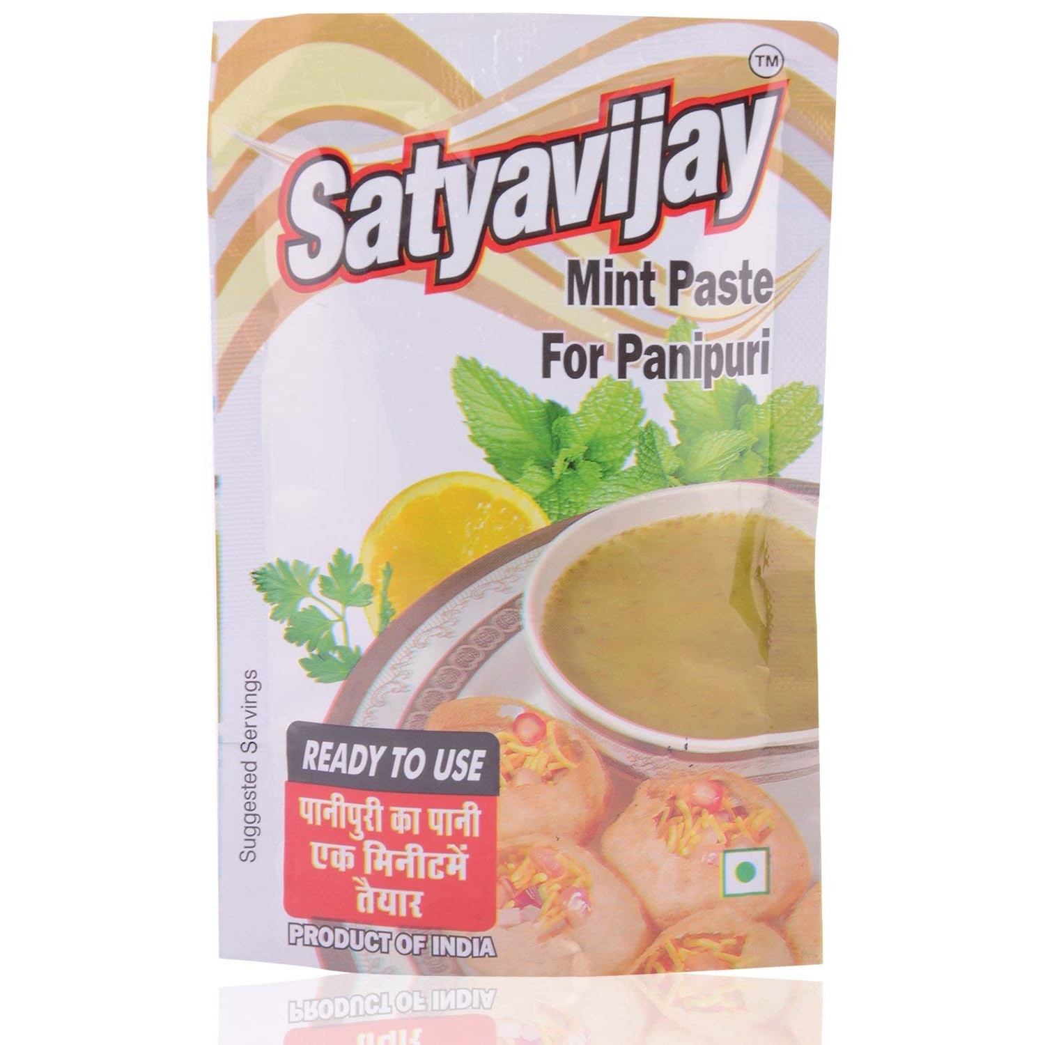 SATYAVIJAY PANIPURI PASTE 100 GM